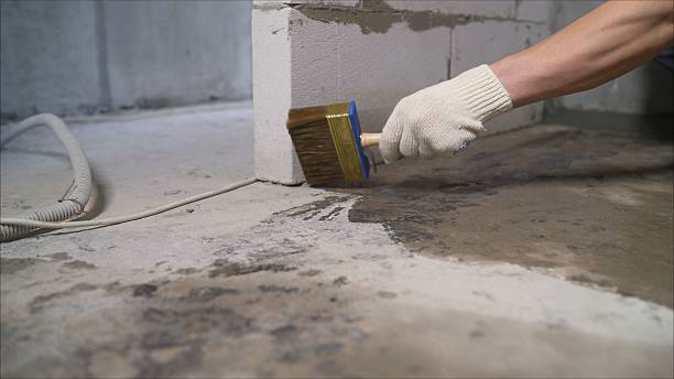24/7 Emergency Crawl Space Encapsulation experts in Gadsden, AL